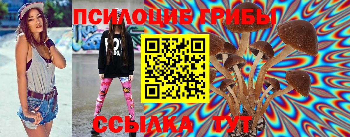 Псилоцибиновые грибы Psilocybe  купить наркоту  Щёлково  Вход с VPN 